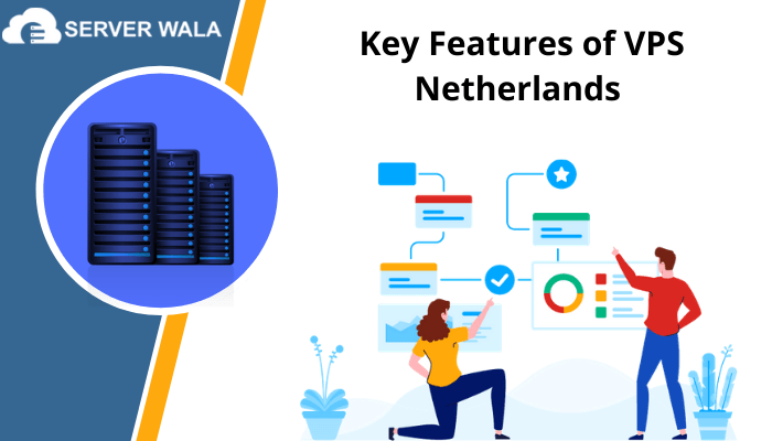 44 - Serverwala Netherlands VPS: Get an Independent Business Environment at a Cheap Price